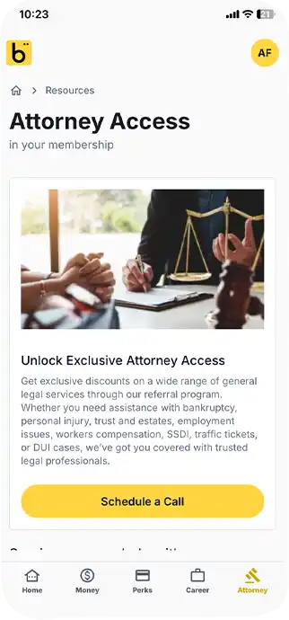 App Attorney Access section