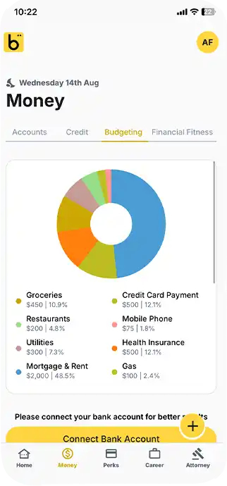 App Budgeting Section